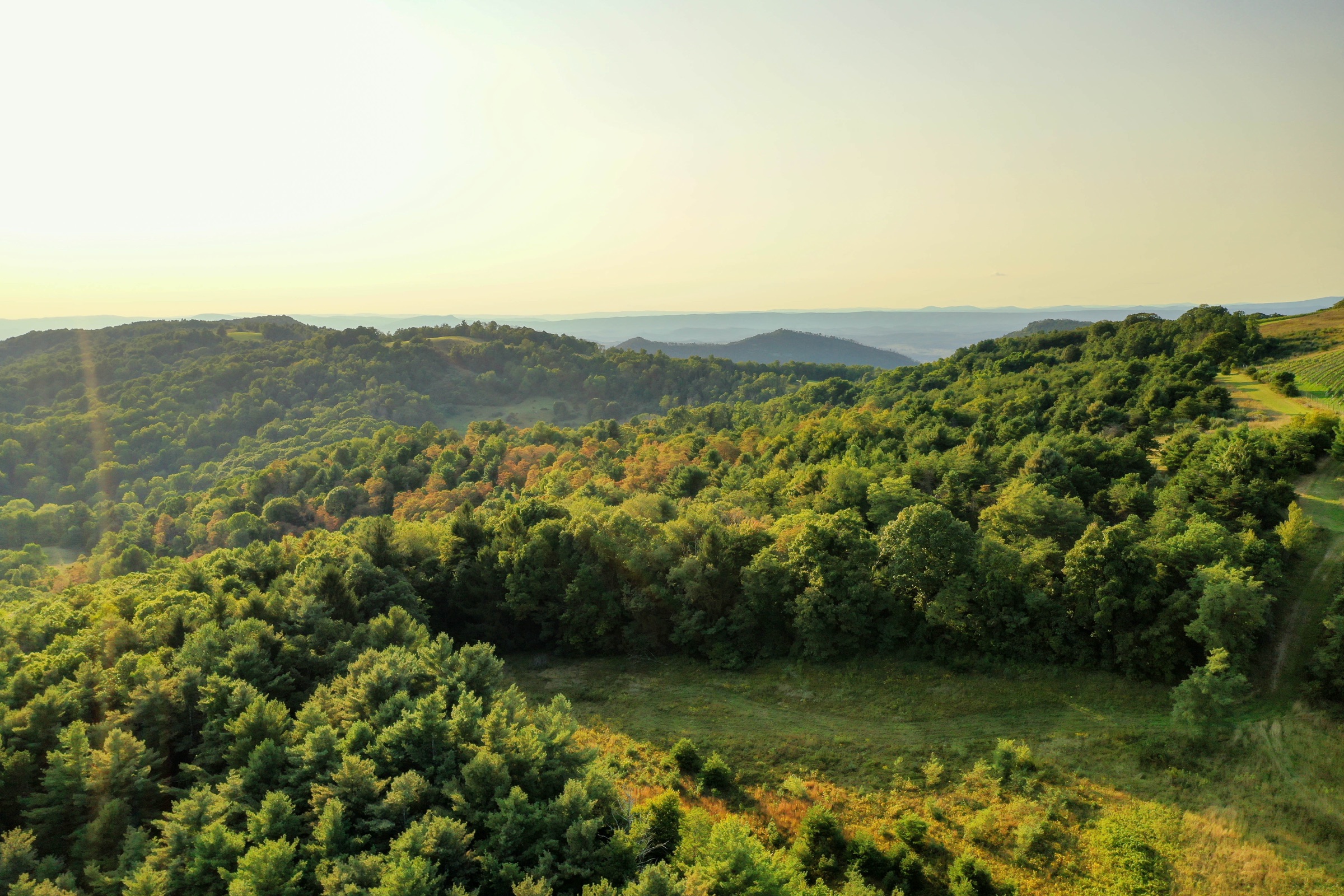 Golden-hour ridgelines from the vineyard, aerial